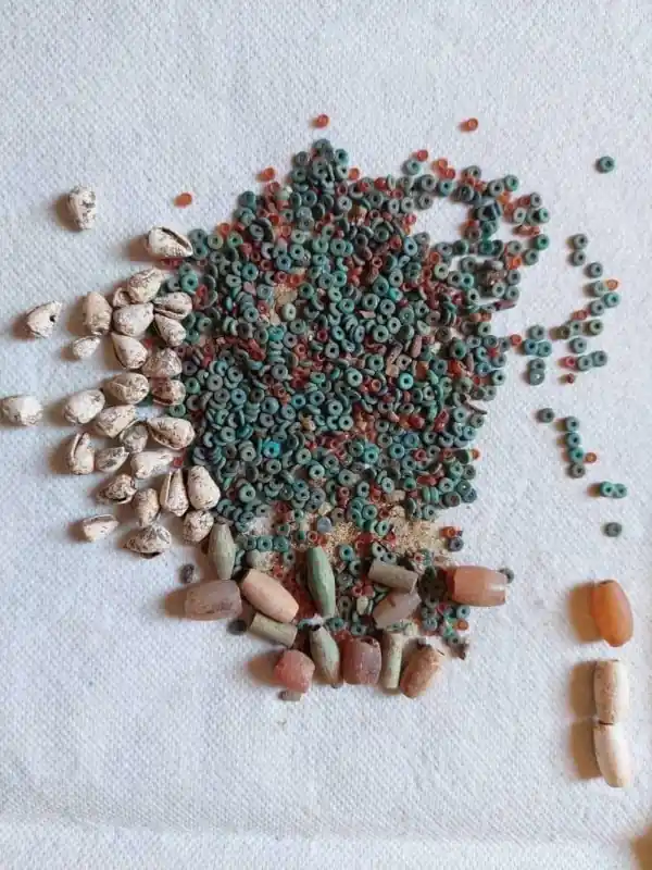 Meir, Egitto: rinvenuti ambienti di periodo copto e sepolture di Epoca Tarda