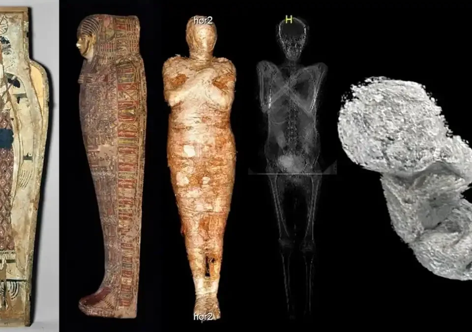 Polonia- mummia egizia di donna incinta