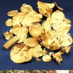 Misteriose brattee d’oro prodotte durante il crollo dell’Impero romano trovate in un campo agricolo