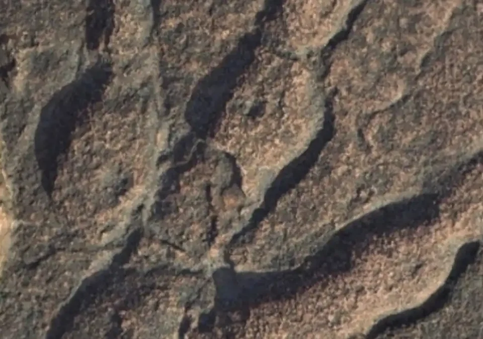 scoperta l'origine dei draghi medievali